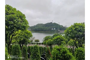 环境介绍