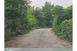 手续办理大厅