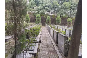重庆龙居山陵园和重庆市九龙陵园
