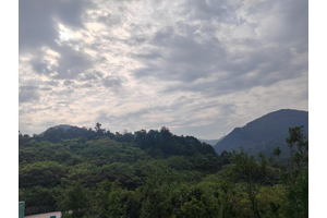 龙居山陵园环境优美