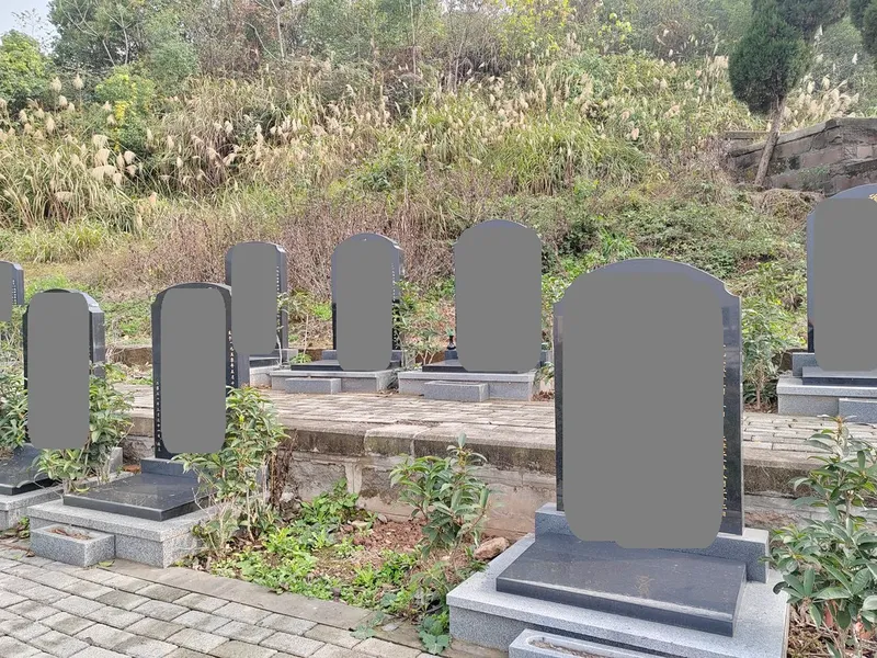 thumb_IMG_20230106_145328