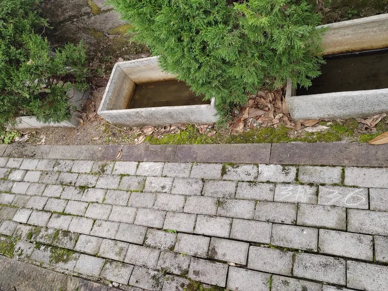 thumb_IMG_20221211_102318